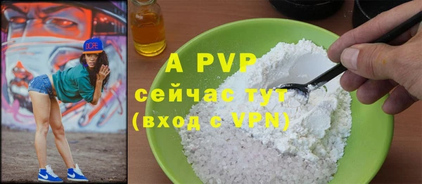 PSILOCYBIN Кукмор
