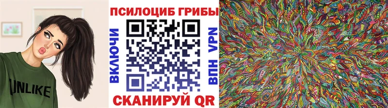 Купить закладки  Краснотурьинск  Галлюциногенные грибы Cubensis 